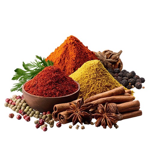 Indian Spices Manufacturers in Delhi