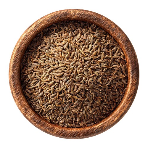 Cumin Seed Manufacturers in Ghaziabad