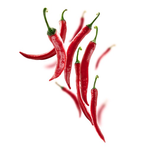 Red Chilli Manufacturers in Ghaziabad